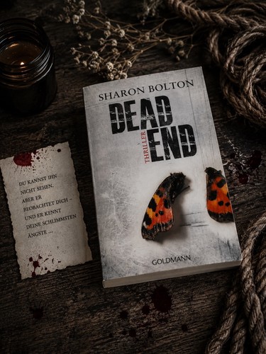 Dead end lacey flint 2 - dead,
