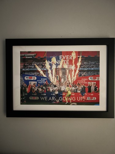 Bolton wanderers celebrate - bolton,